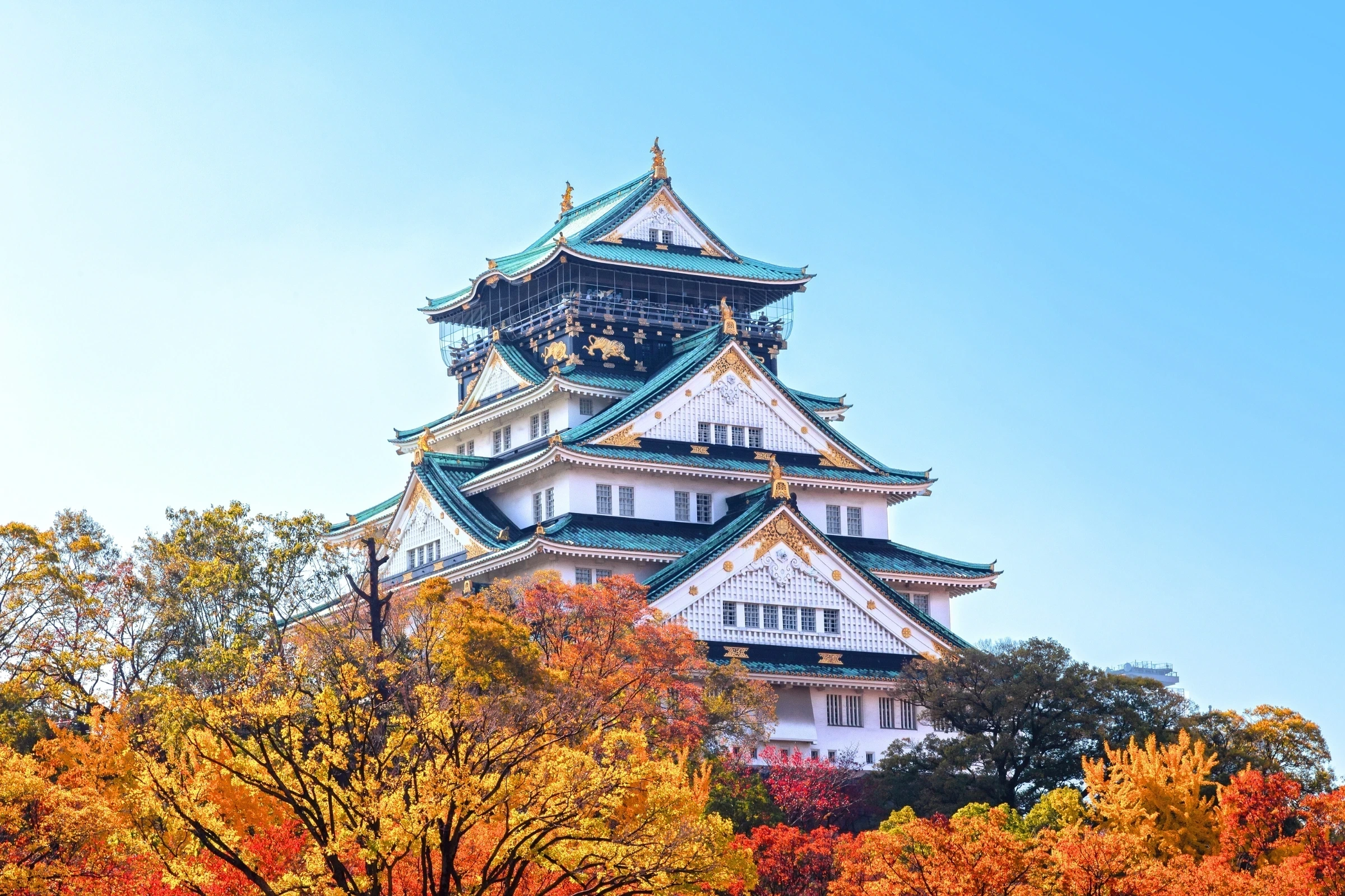 17-Night All-Inclusive Luxury Best of Japan Cruise with Tokyo Stay & Mt Fuji Tour – 2027